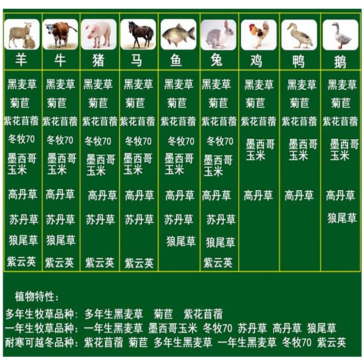 6bfc5b58d26d67c46bc6cb22ead0c2af_122cf8d805e0e7f6.jpg